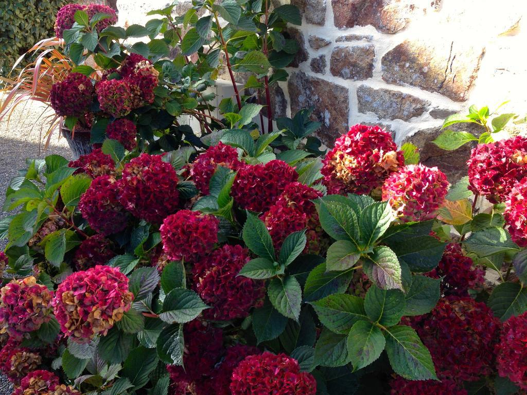 Bed and Breakfast Breizh A-Gevret Lannion Exterior foto